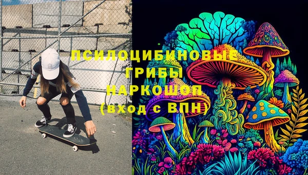ECSTASY Покров