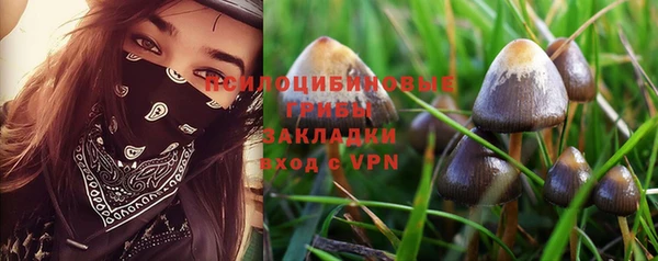 ECSTASY Покров