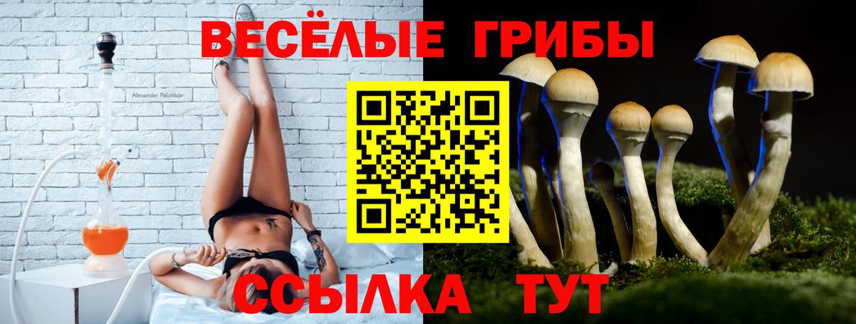 Псилоцибиновые грибы Magic Shrooms Старая Русса