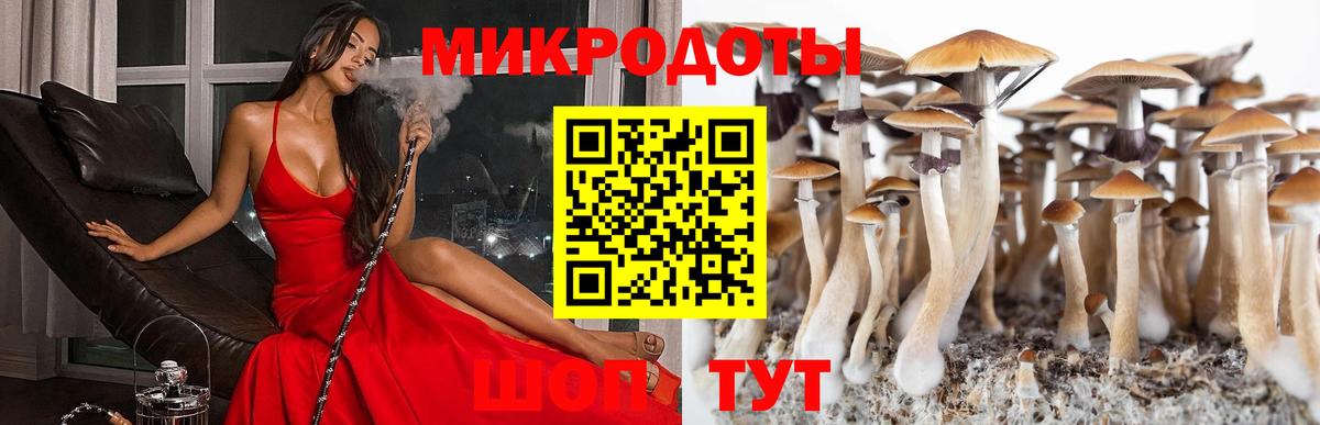 Псилоцибиновые грибы прущие грибы  Вход с VPN  Старая Русса 
